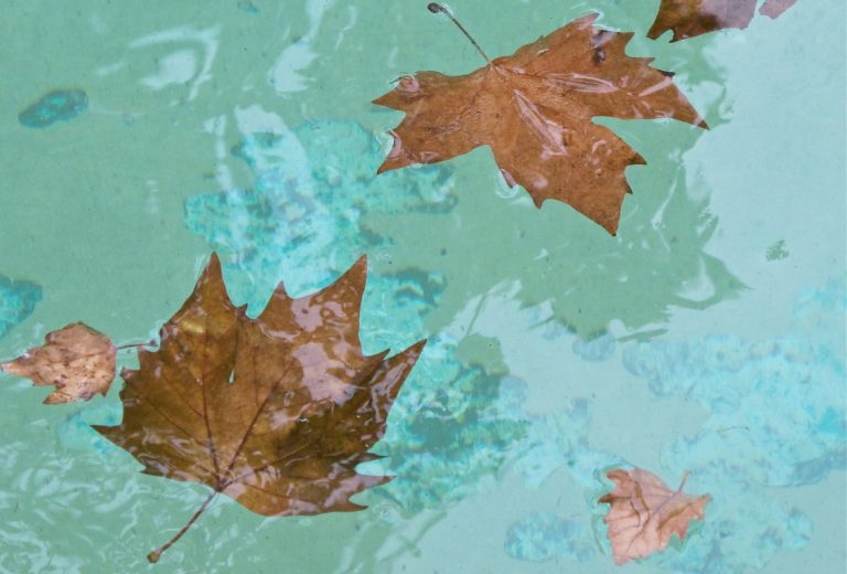 rvb-arts_vera-rossi_riflessi