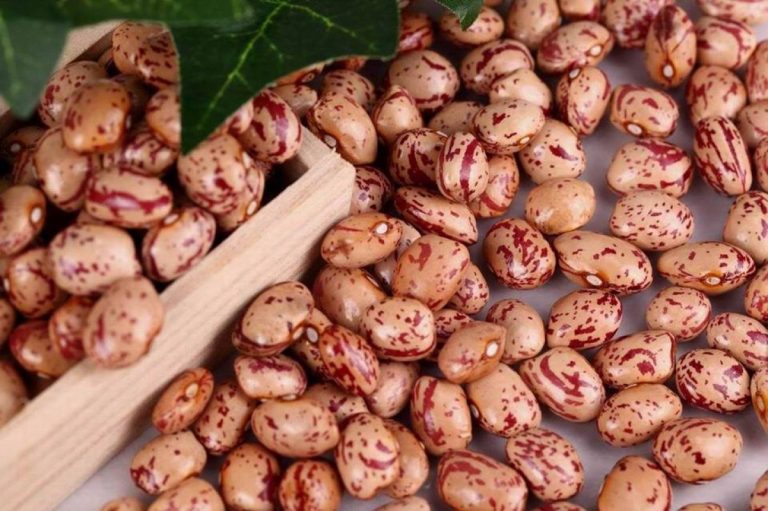 fagiolo carne sagra 2017