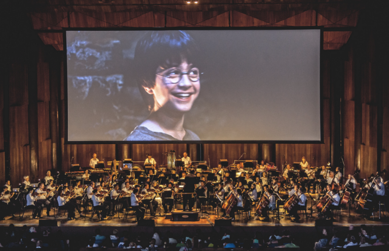 Harry Potter in concert: la magia si fa musica