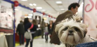 più libri più liberi 2016