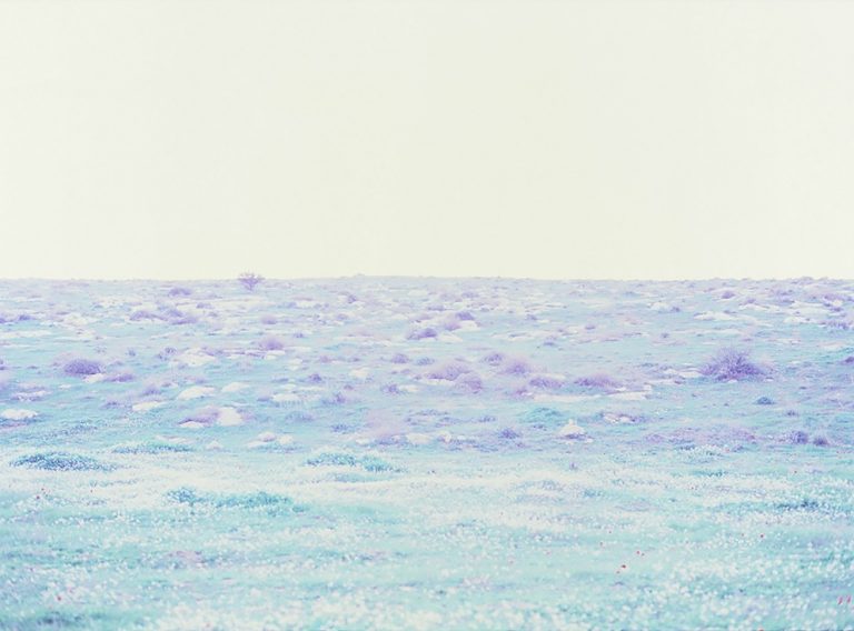 the night illumintes the night