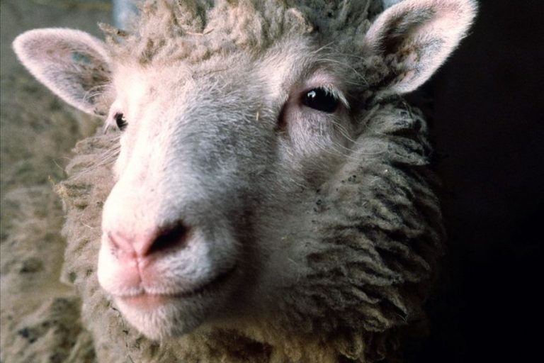 DNA palazzo delle esposizioni