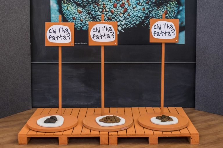 mostra la cacca bioparco