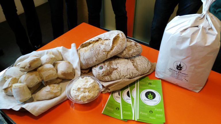 pasta madre day 2017