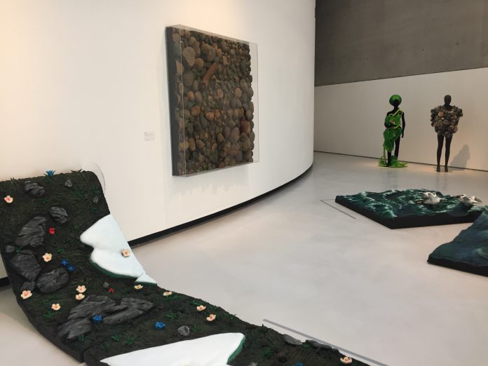 nature forever maxxi