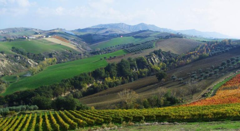 Quattro chiacchiere sui vini Italiani: Il Montepulciano d’Abruzzo
