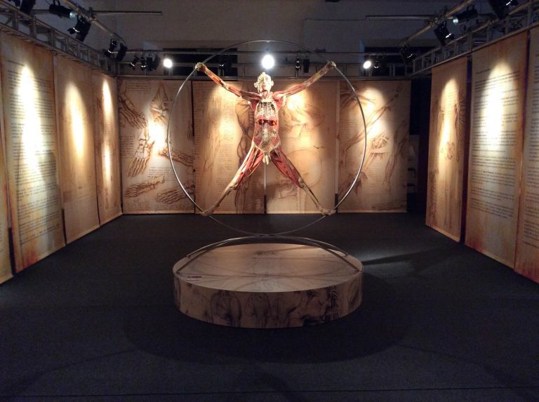 Real Bodies: la caleidoscopica mostra sul corpo umano