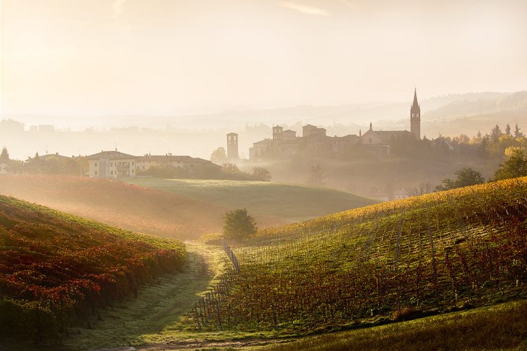 Quattro chiacchiere sui vini Italiani: Il Lambrusco