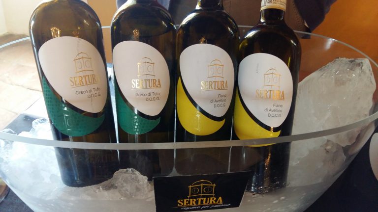 Grandi conferme per IOVINO alla sua seconda edizione