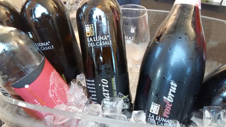 Vinòforum  e i suoi mutamenti negli anni