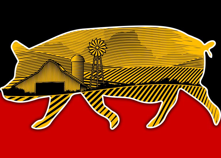 Fattoria degli Animali.