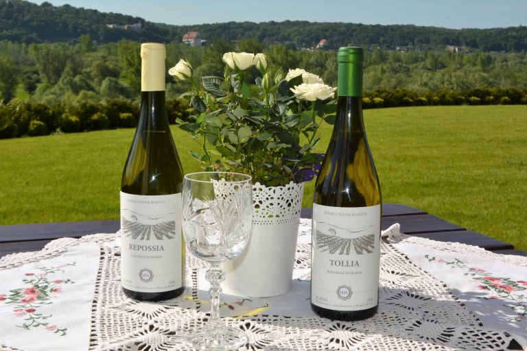 Alla Scoperta dei Vini Polacchi