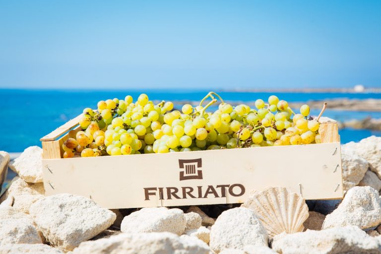 Firriato Experiencing: un viaggio nel terroir del vino Siciliano