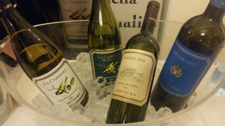 Le Marche del vino secondo Go Wine
