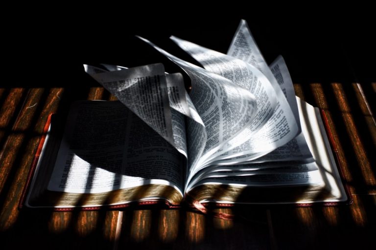 giorno della memoria libri