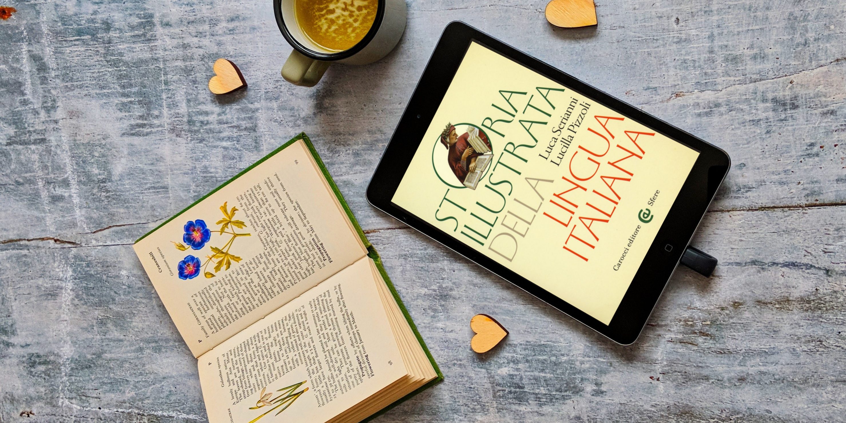 Storia della lingua italiana istantanee del nostro dolce idioma