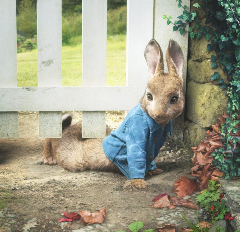 peter rabbit film