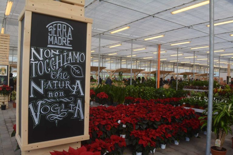 Serra Madre presenta il Country Fest