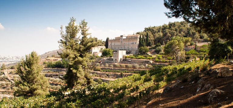 degustazione vini roma