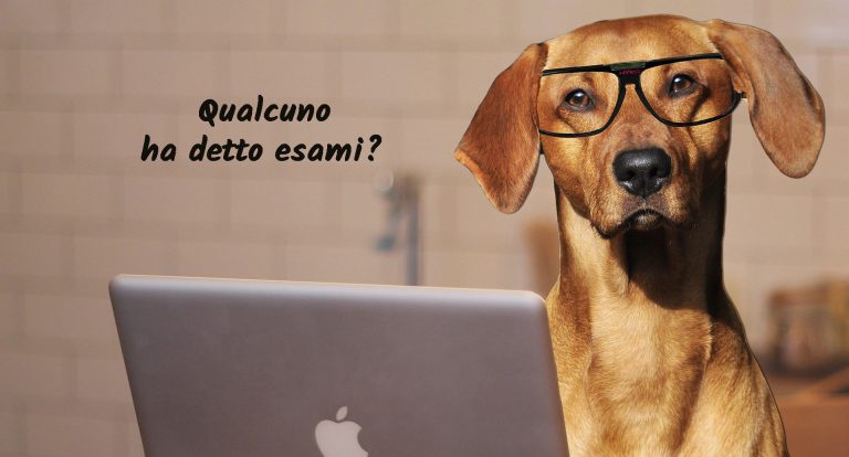 idee tesina maturità