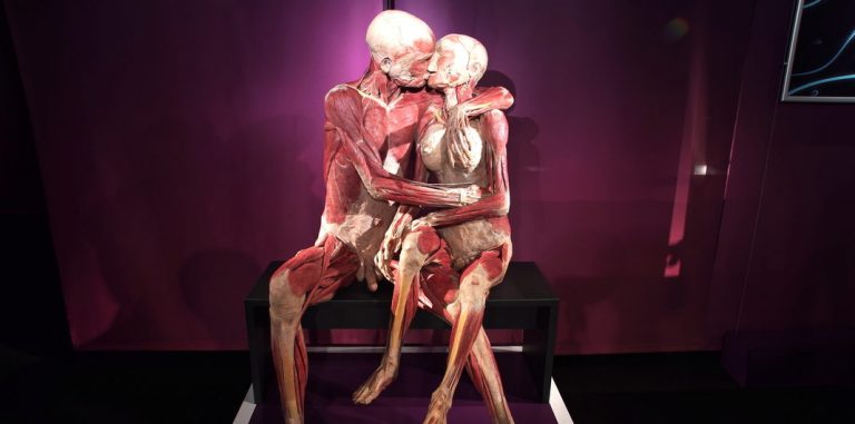 real bodies milano 2018