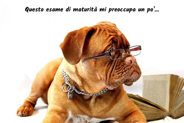 esame di maturità 2019