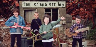 cranberries dreams