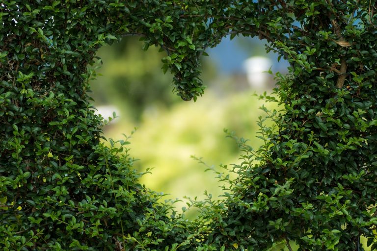 amore significato