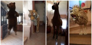 google-app-realtà-aumentata-bambini