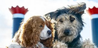 Lilli-e-il-Vagabondo-film-2019