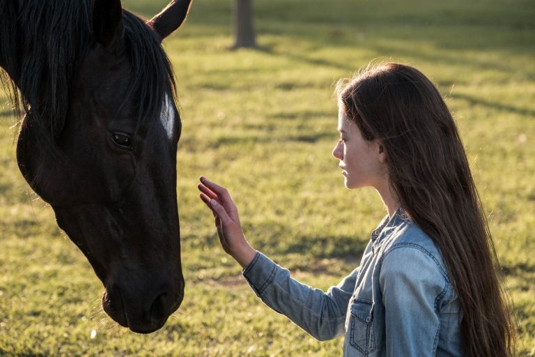 Black Beauty su Disney+: la vita secondo un cavallo