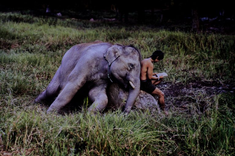 Steve McCurry leggere mostra recensione