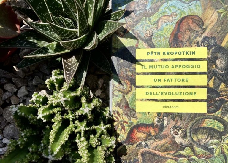 Il mutuo appoggio di P. Kropotkin (4)