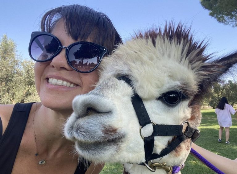 recensione passeggiata con gli alpaca tarquinia