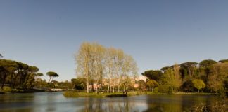 Lago grande Villa Ada