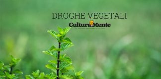 menta significato e caratteristiche