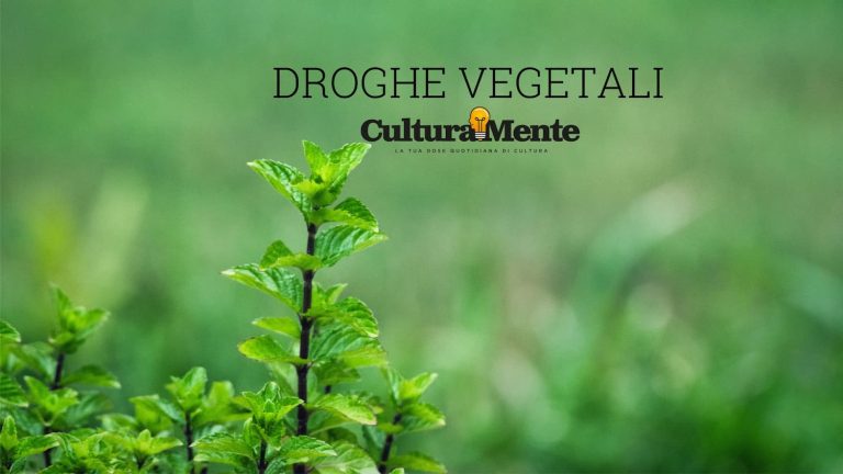 menta significato e caratteristiche